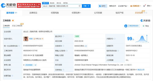 金山云旗下海南洋浦信息科技增資至6億美元，強(qiáng)化信息系統(tǒng)集成服務(wù)布局